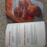 Отзыв: Книга «Водка и самогон», — Дешего информативно